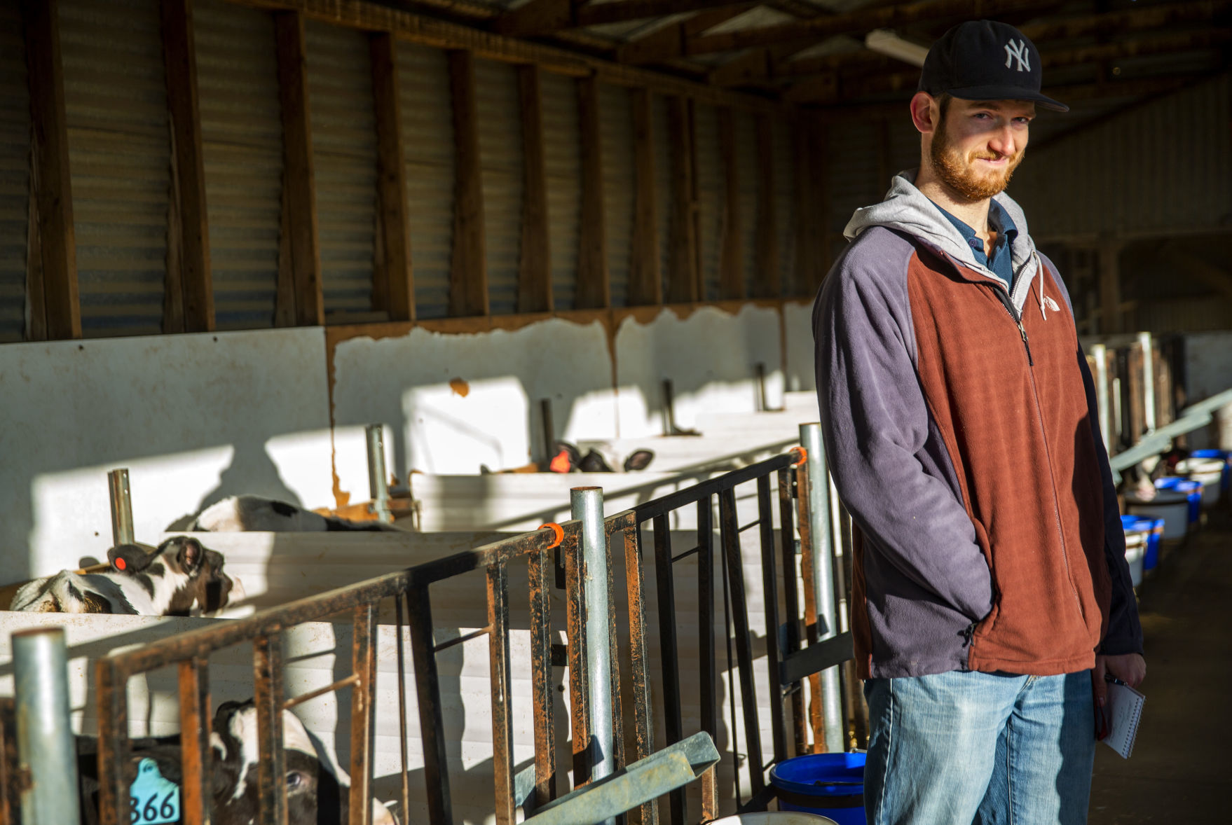 Dairy farm